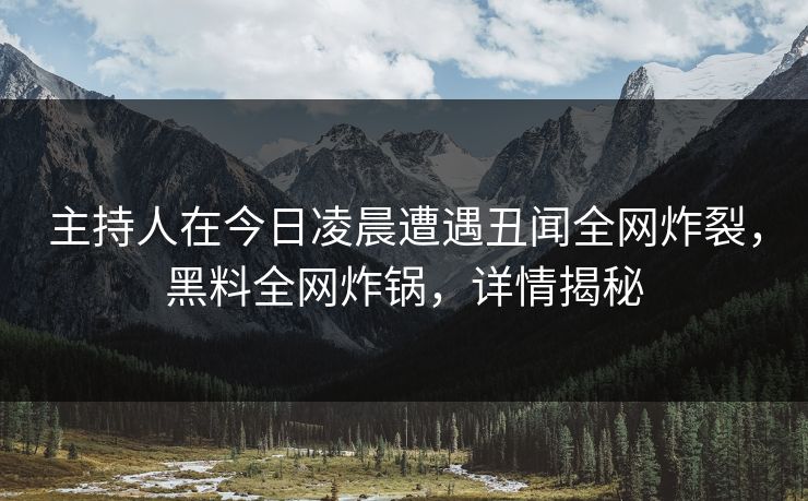 主持人在今日凌晨遭遇丑闻全网炸裂，黑料全网炸锅，详情揭秘