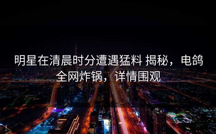 明星在清晨时分遭遇猛料 揭秘，电鸽全网炸锅，详情围观