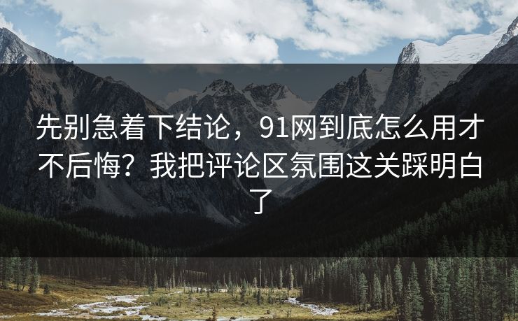 先别急着下结论，91网到底怎么用才不后悔？我把评论区氛围这关踩明白了